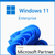Microsoft Microsoft Windows 11 Enterprise