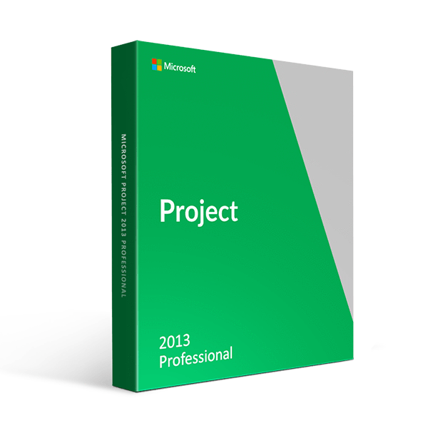 Microsoft Microsoft Office Project Professional 2013