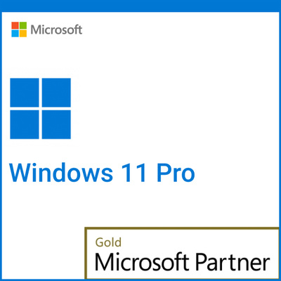 Microsoft Windows 11 Pro